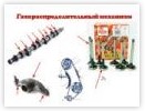 Изучаем газораспределительный механизм (ГРМ) в Екатеринбурге - avtoshkolakursant.ru | фото